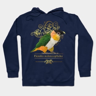 black headed caique Hoodie